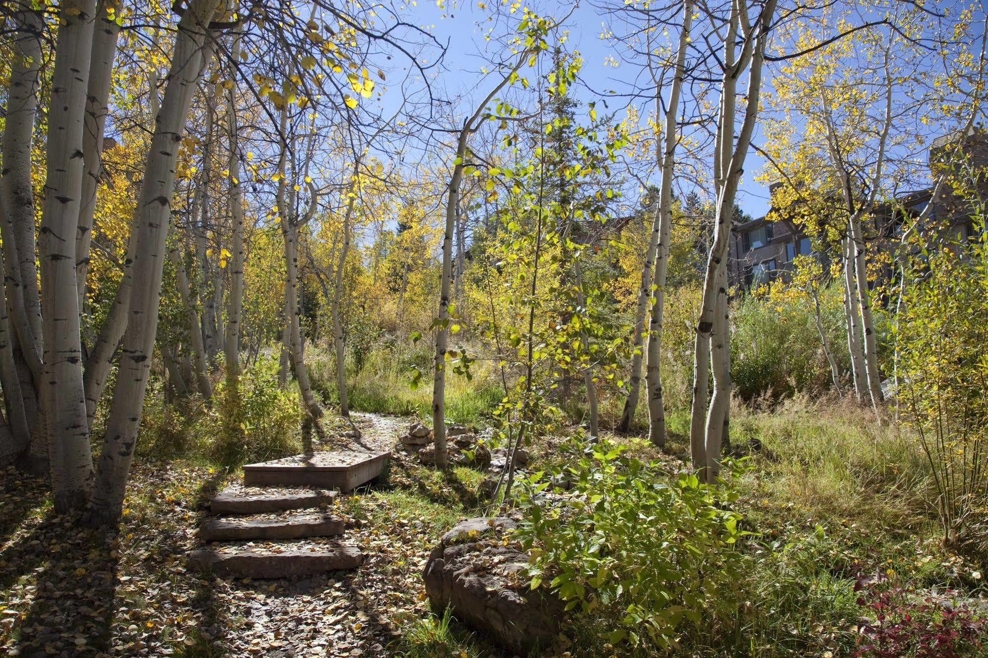 Terracehouse - Coraltree Residence Collection Snowmass Village Extérieur photo